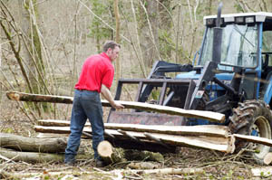 Loading rails in the LEconfield Estate woodlands