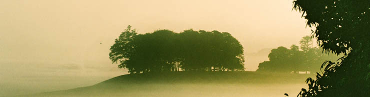 Deer Park at Petworth