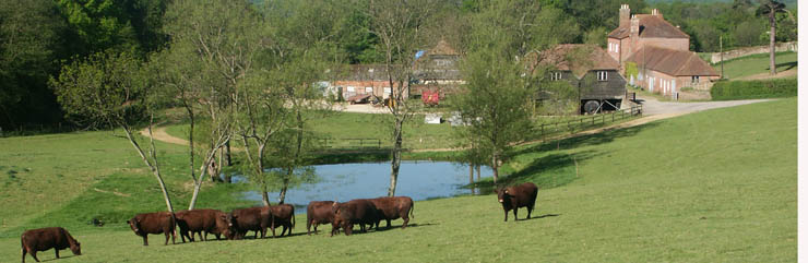 Leconfield Farms Ltd Stag Park Farm